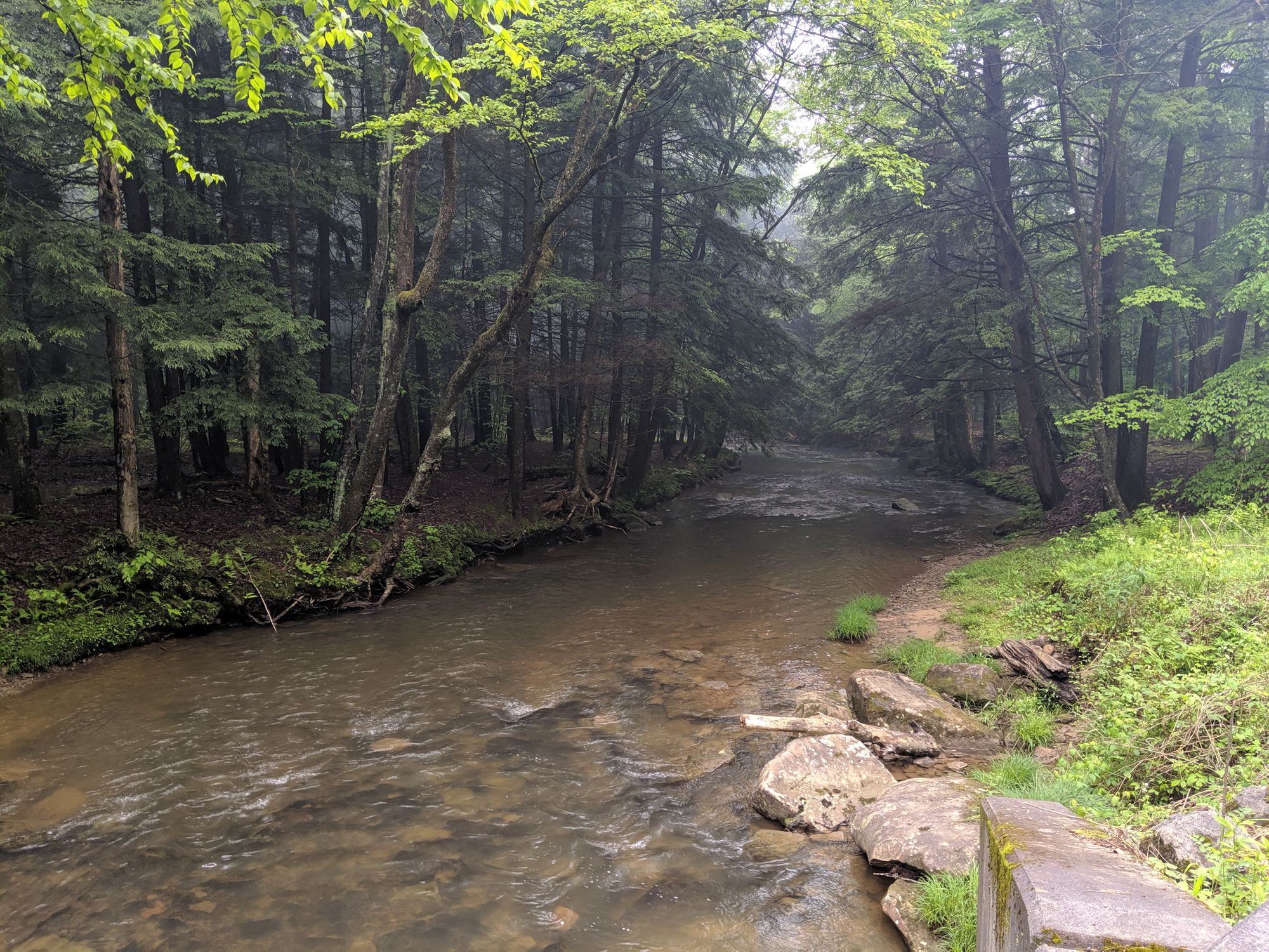 Trip Report: North Country Trail FR116 To SR66