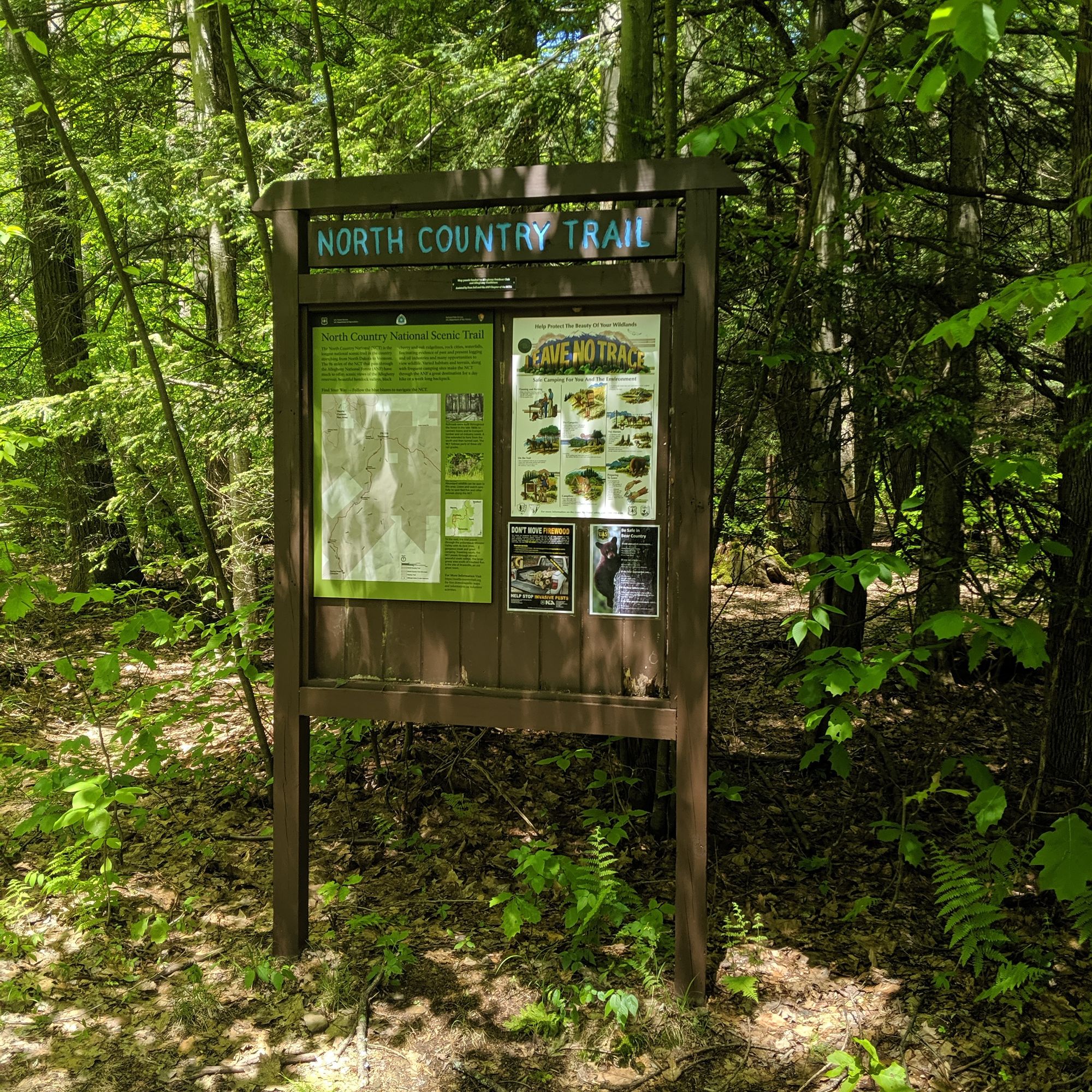 Trip Report: North Country Trail FR116 To SR66